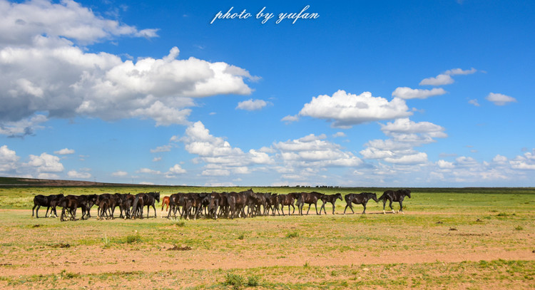 五一锡林郭勒游玩,几月份游锡林郭勒适合