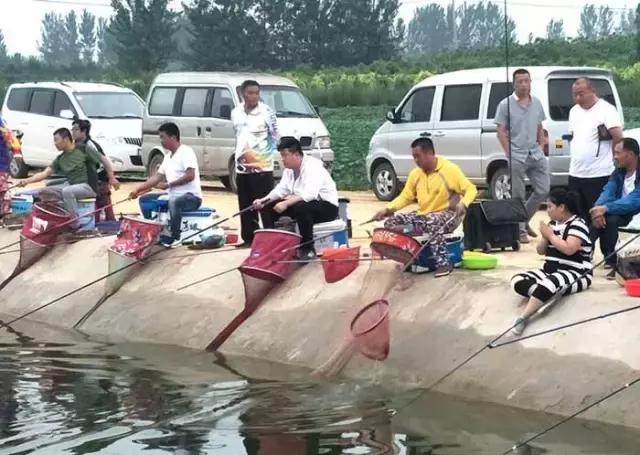 行营钓鱼比赛现场直播,行营钓鱼节