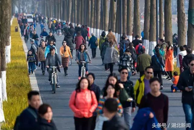 武汉无憾,来武汉才能不遗憾