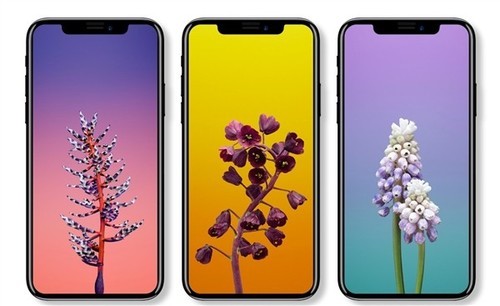iphonex全系参数曝光,曝iphonex全系参数