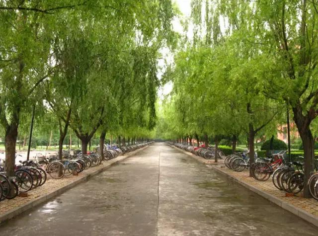 河南省首批办好的24所重点中学,河南百强中学