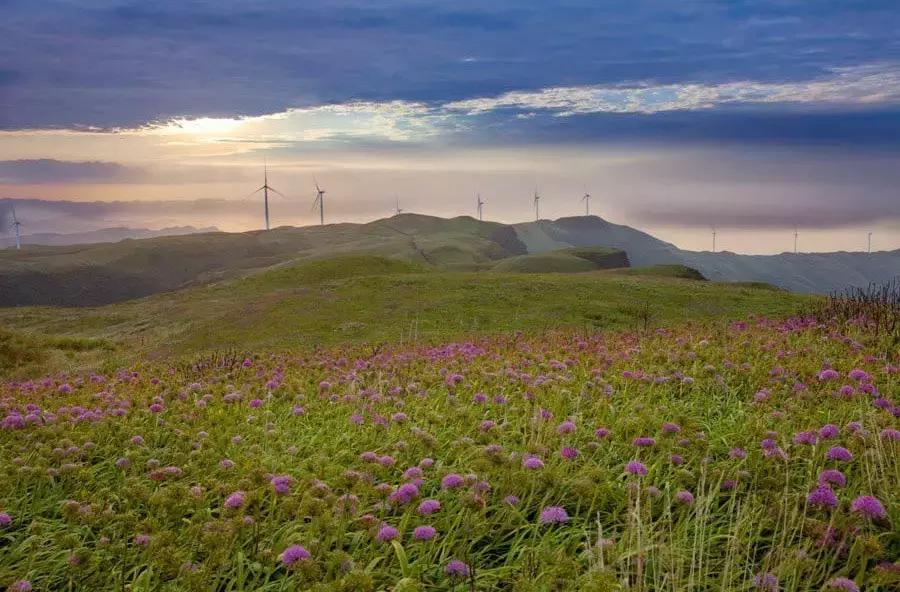 国庆节成都五日游攻略,元旦成都出发两天一夜旅游攻略