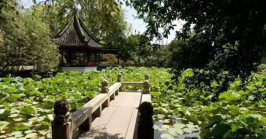 上海坐地铁直达的玩的地方,上海地铁直达花海