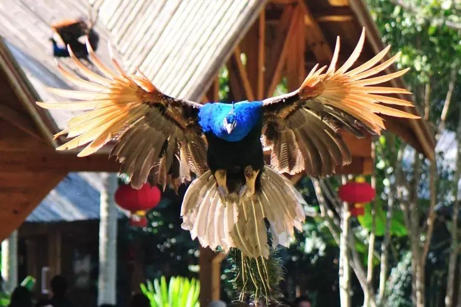 元旦成都出发两天一夜旅游攻略,成都出发三四天旅游推荐国庆