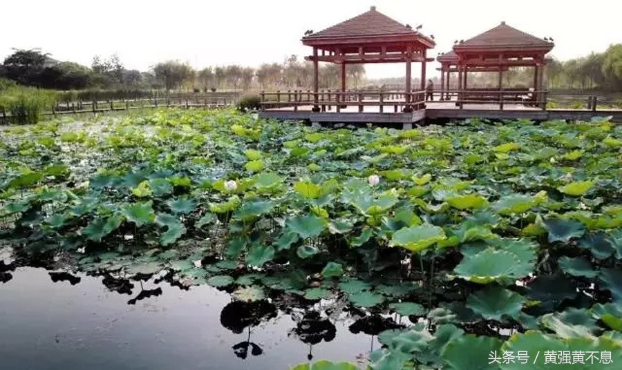 昆山适合去哪里旅游,看山看水看风景真是好地方
