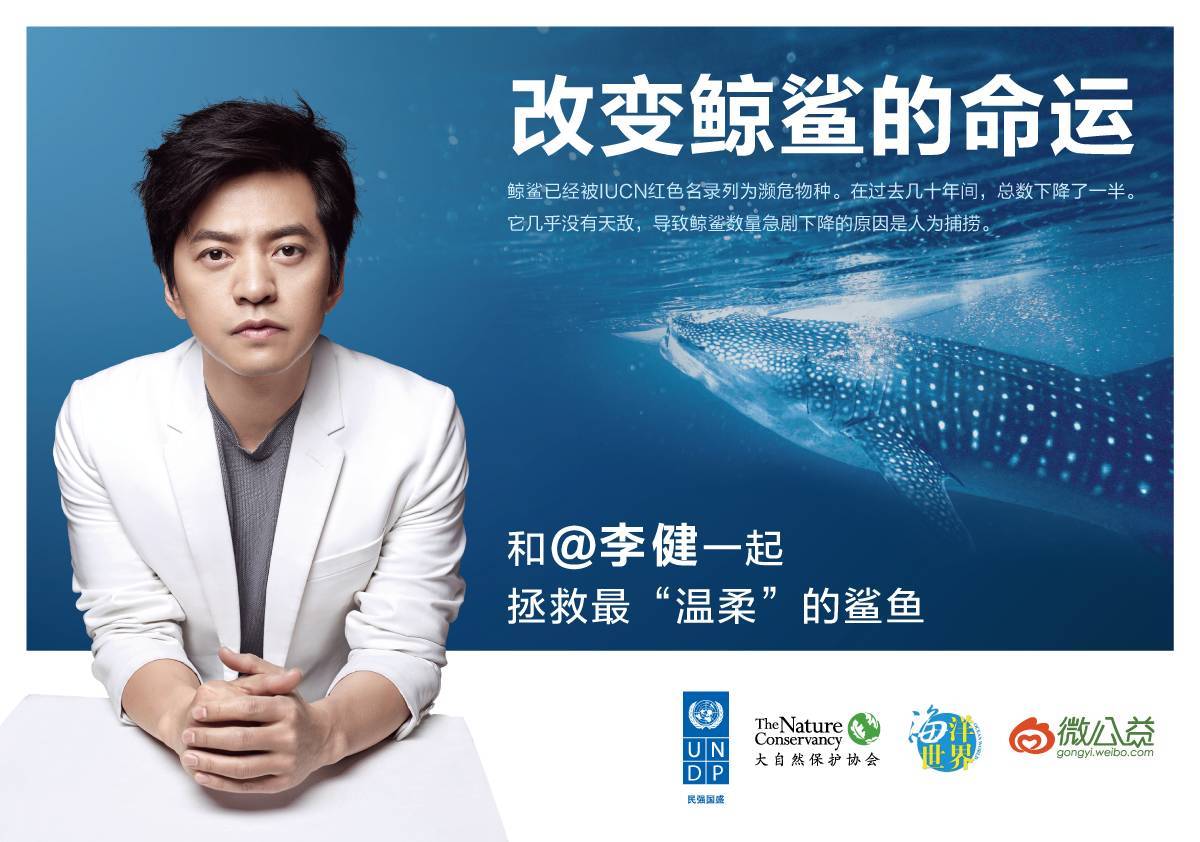 关于鲸鱼你知道什么,鲸鲨温柔