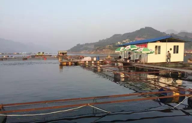 怎样玩好筏钓（超多干货值得收藏）