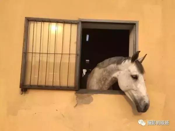 手机后期修图入门教程,手机修图如何修得有质感