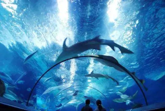 上海地铁直达的好玩的地方,上海坐地铁就能去的景点