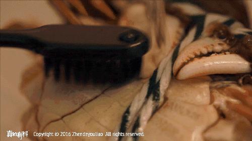 悦湖鲜阳澄湖大闸蟹怎么保存,阳澄湖大闸蟹冰箱保存图片