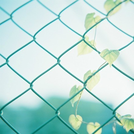 心情不好怎么快速开心,心情不好怎么快速发泄