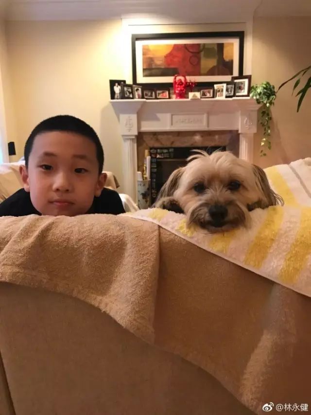 爸爸去哪儿5长大后的萌娃,天降萌宝爸爸去哪儿1-56集免费