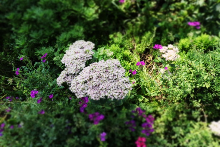 佳能eos200d相机介绍,佳能eos200dii单反相机