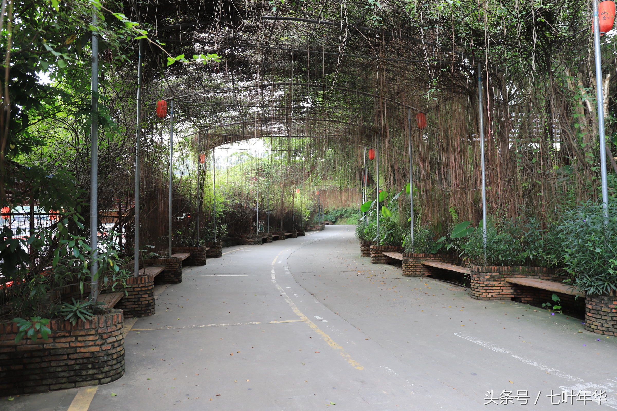 看水中古建筑，深圳观澜山水田园值得一去