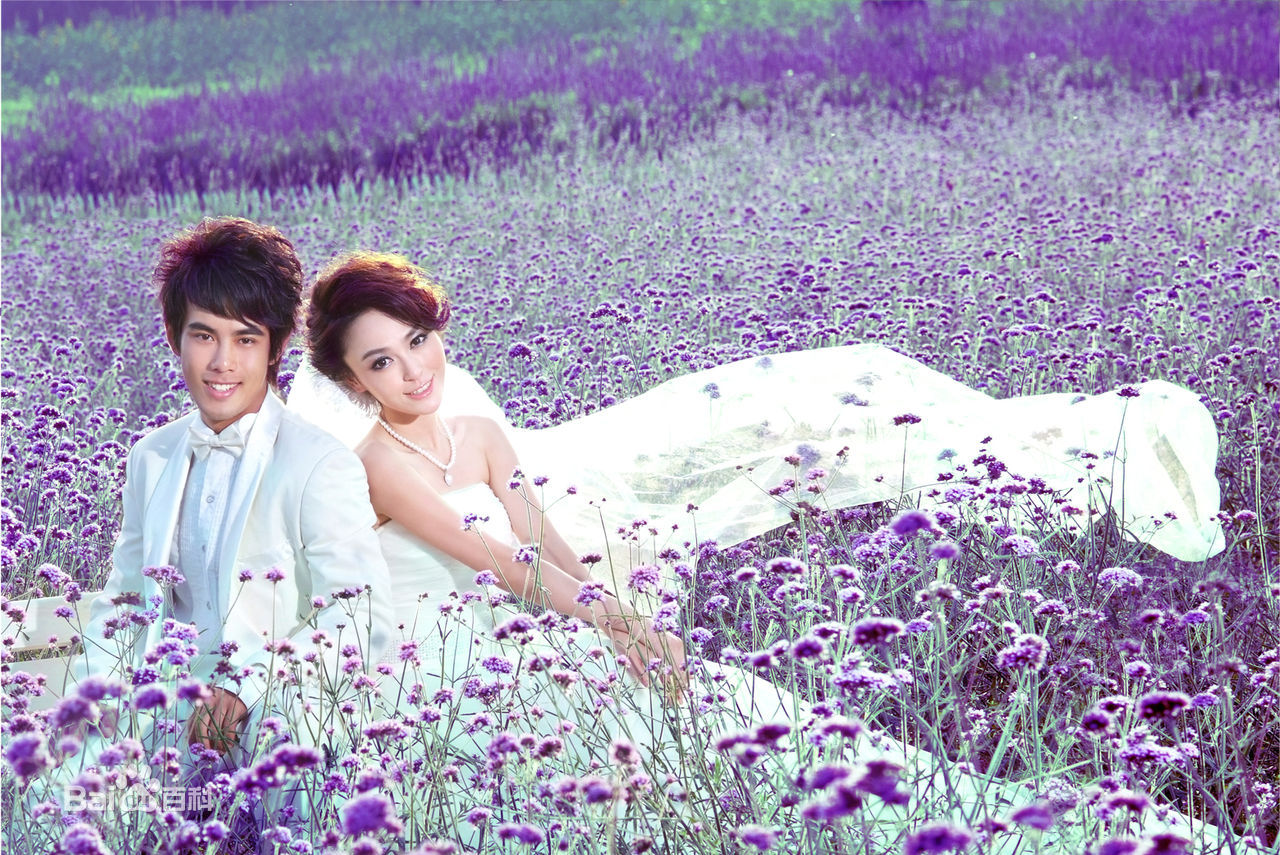 北京怀柔东方普罗旺斯薰衣草庄园,北京普罗旺斯薰衣草庄园