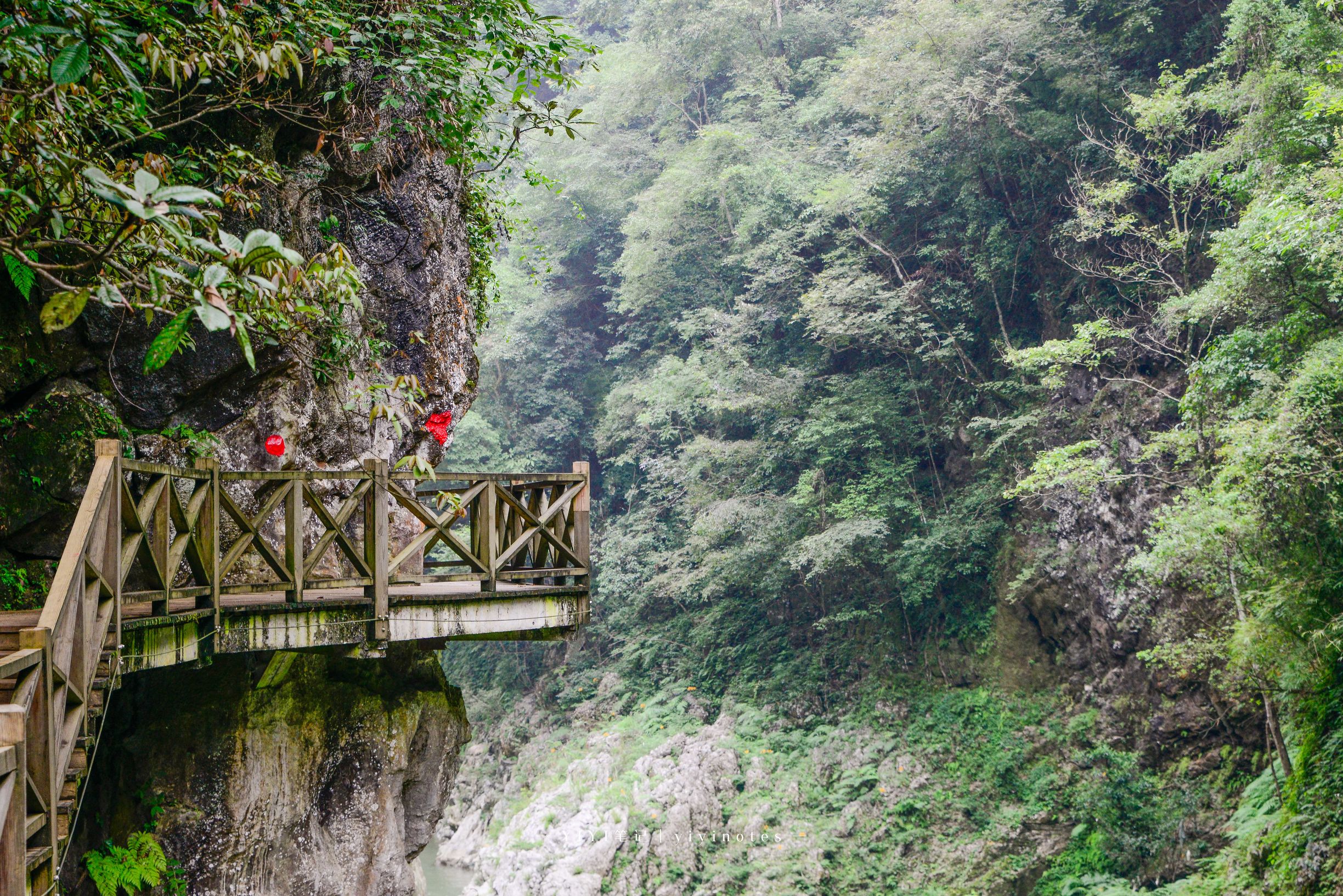 贵阳城区竟然藏着幽静的峡谷,贵阳神秘大峡谷景区介绍