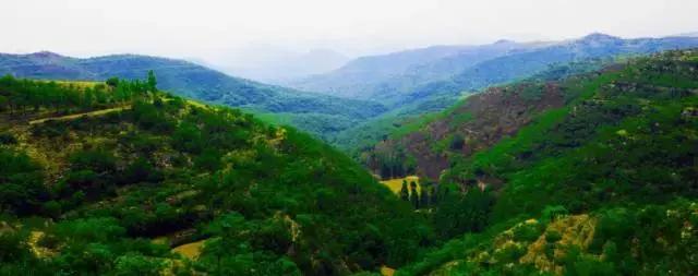 太太受委屈,太太委屈