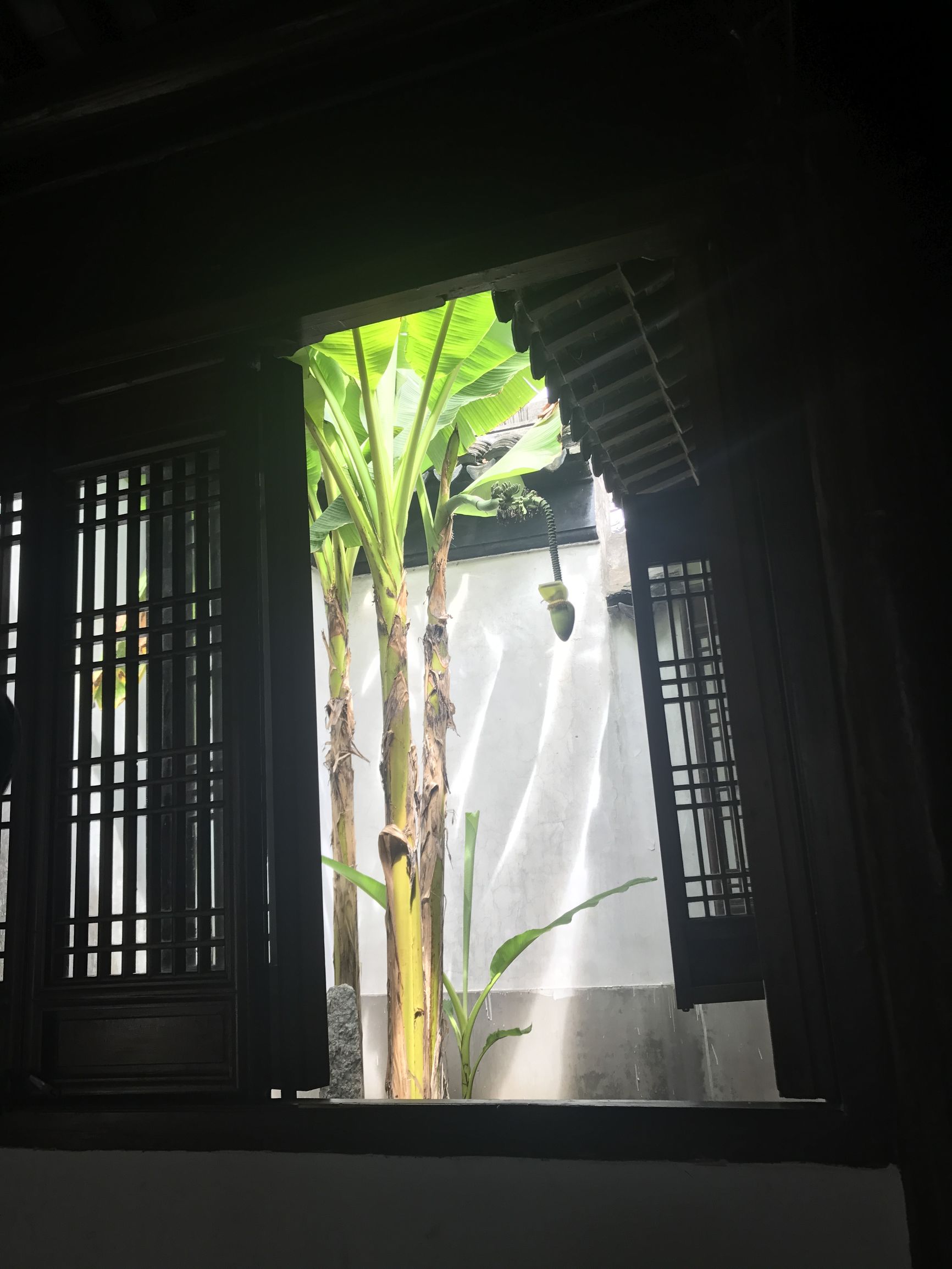 千灯古镇顾炎武墓,千灯古镇顾炎武故居