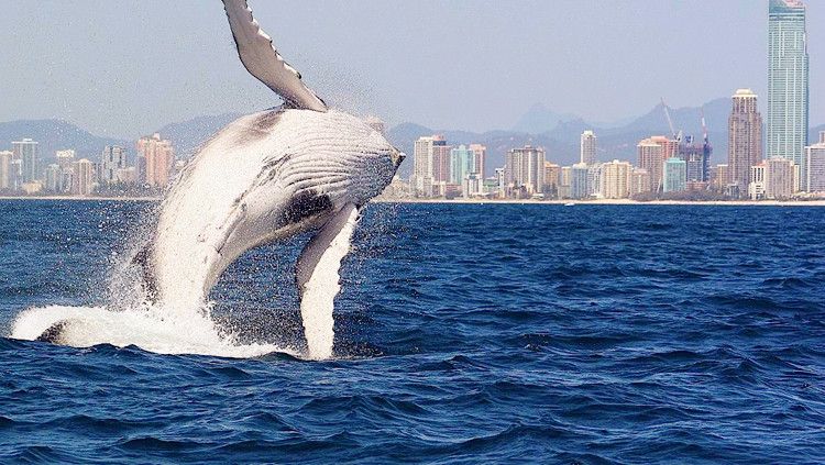 加州1号公路自驾路线图片,加州一号公路攻略从南往北