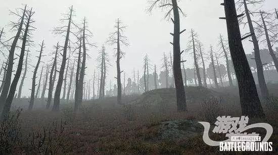 绝地求生挂成本又降低了吗,绝地求生定制一个挂要多少钱