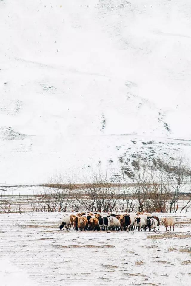 回顾：旧梦之域，新辟之疆‖这是一个让我魂萦梦绕的地方