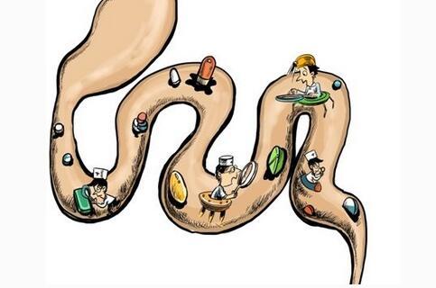 体内毒素过多怎么学会调整和调养？