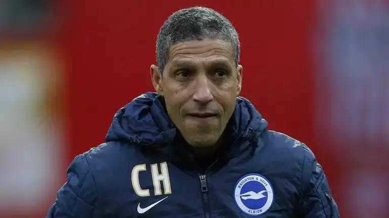 海鸥布莱顿现状,布莱顿主场海鸥