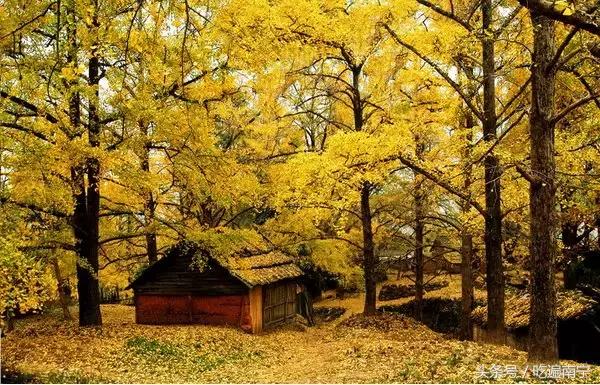 广西深秋好看的地方,广西的秋天哪里风景最美