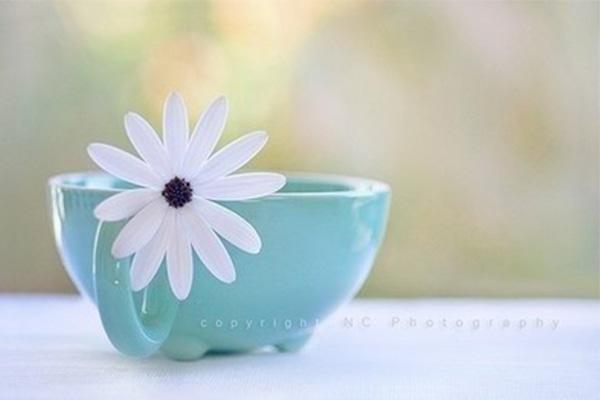 「靖歌阁」企鹅自媒体如何才能让写的文章“飞起来”?