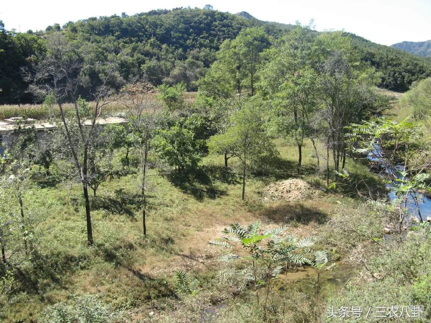 农村机动地到期该怎么处理,农村预留机动地的最新政策