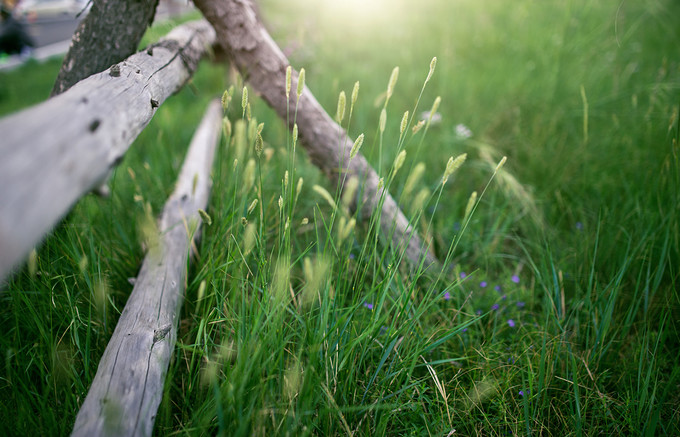 自驾游记初秋内蒙草原风光无限,内蒙大草原之旅自驾游哪里最美