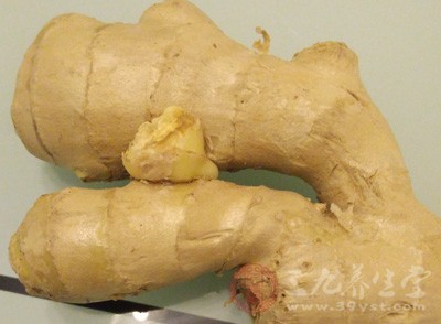 生姜水洗头用多少生姜,长期生姜水洗头有什么好处