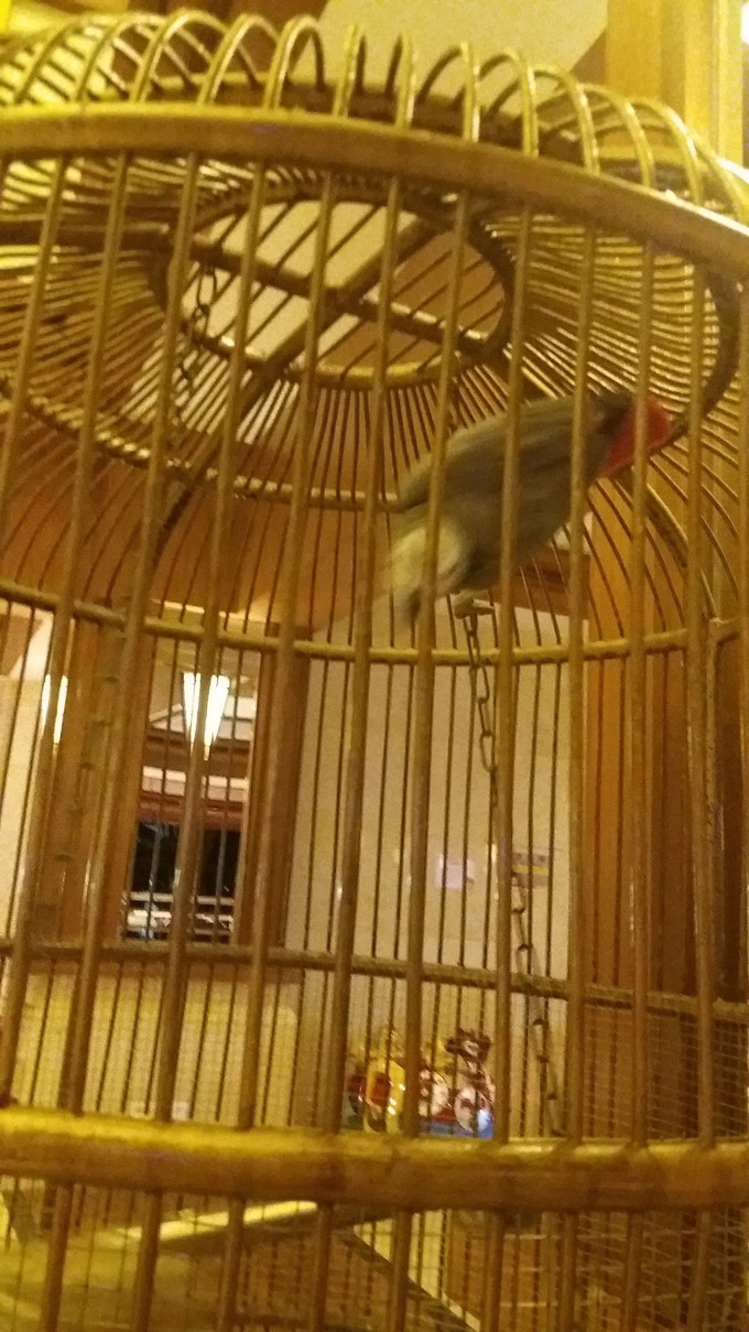 带着小锦宝宝第一次远门三亚游