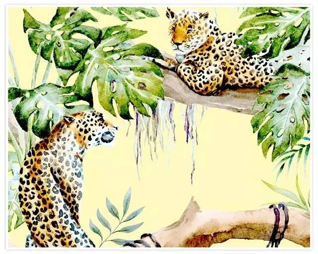 初学者必备高颜值瑜伽垫分享,适合运动的瑜伽垫