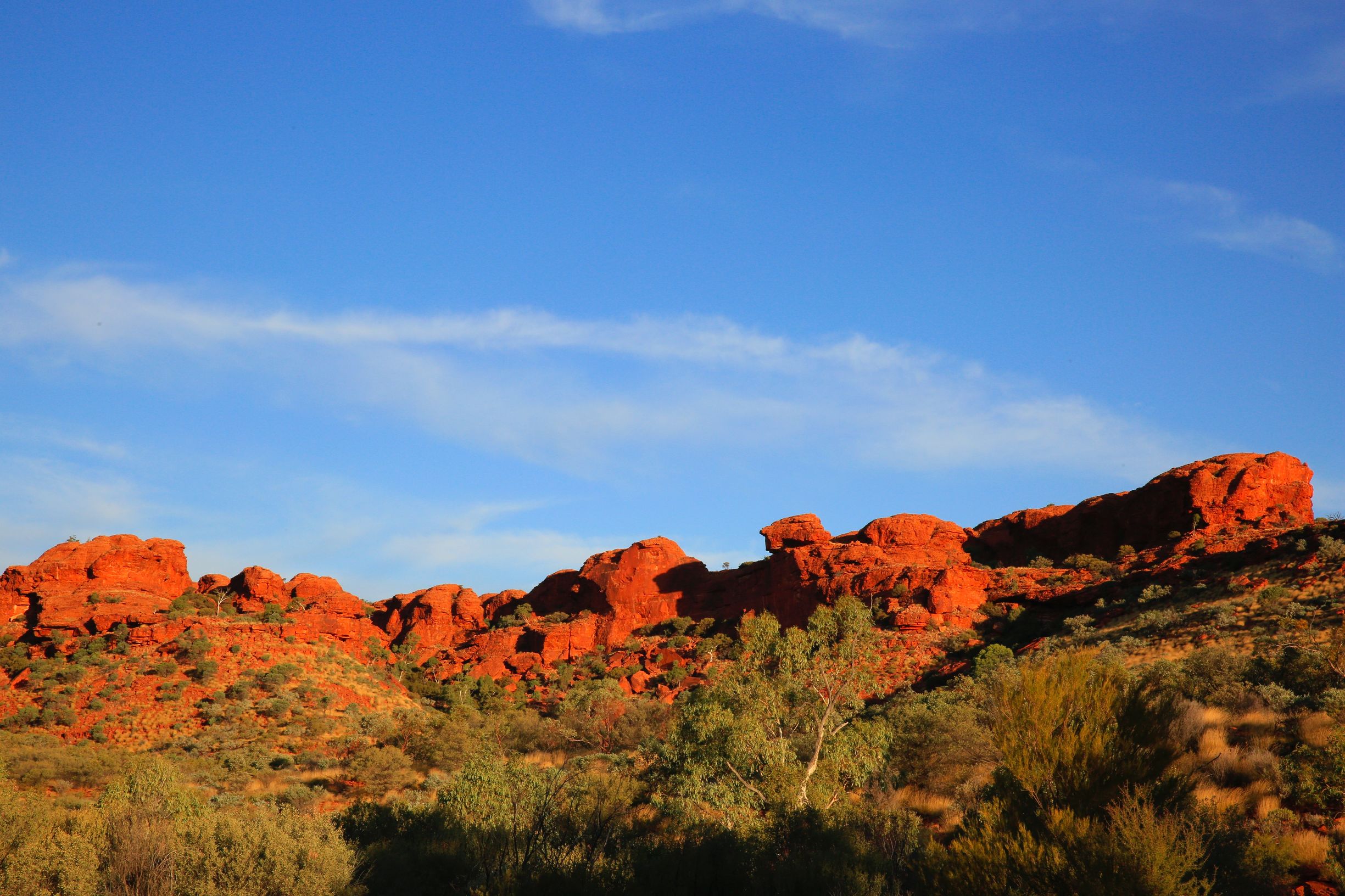 关于澳洲的一切,澳大利亚国王峡谷