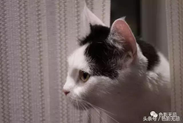 关于尼康d850的一些问答,尼康d850买回来怎么打开