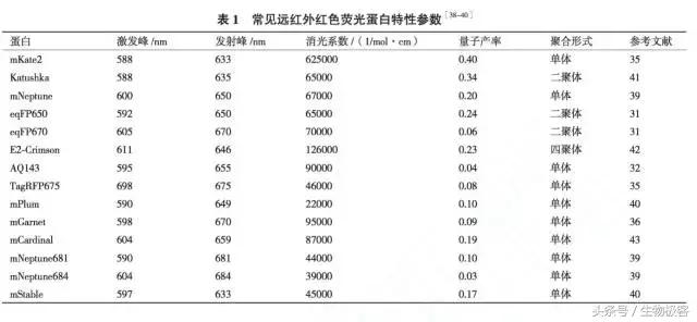 绿色荧光蛋白,怎么看绿色荧光蛋白