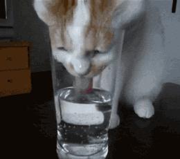 干皮请收藏|换季到底用啥乳液才能抵抗干燥的季节?