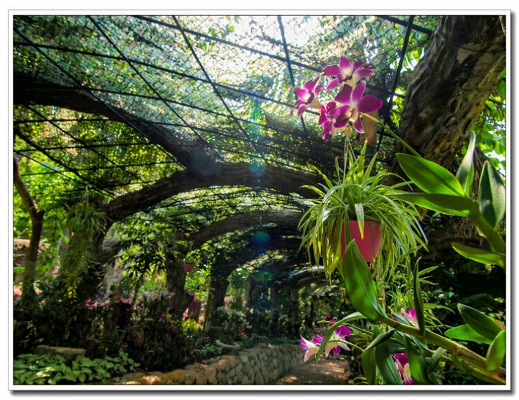 三亚行迹星辰旅行,三亚的空气质量在世界排行