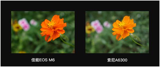 微单佳能m6哪一款最好,佳能微单eosm6价格