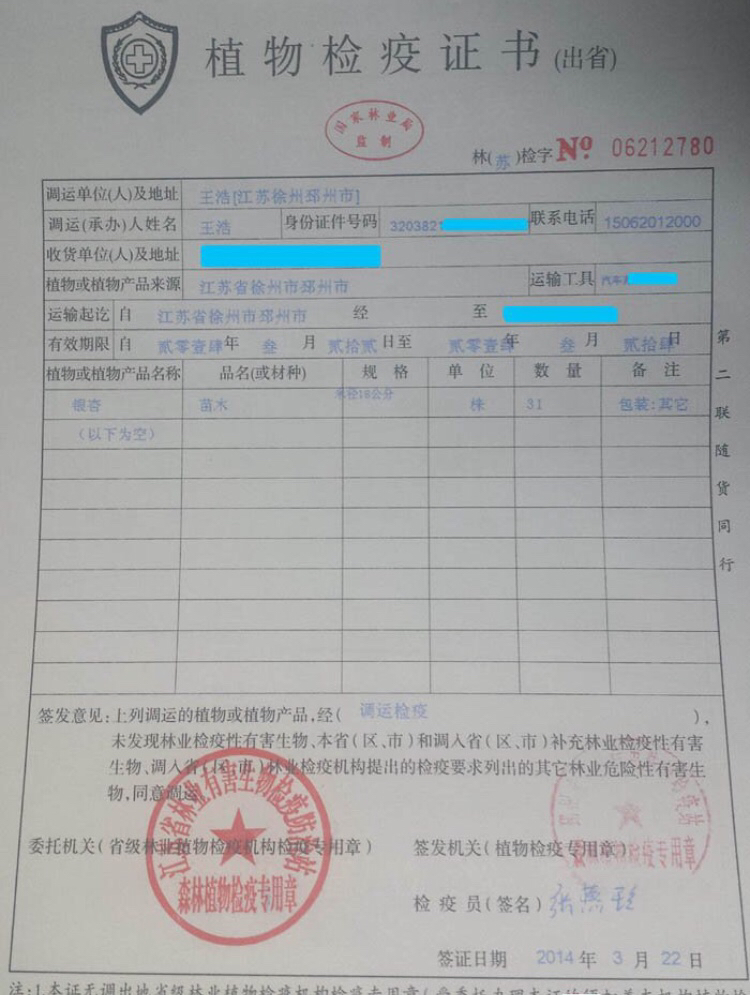 银杏树报价行情联系方式,银杏树门票预订官网