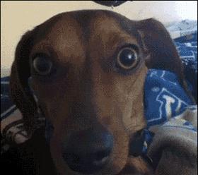 当科比遇见蔡徐坤打篮球,当科比遇到篮球爱好者