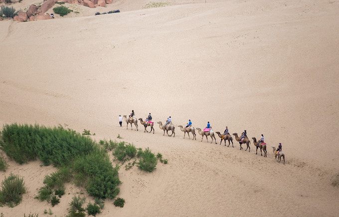自驾游记初秋内蒙草原风光无限,内蒙大草原之旅自驾游哪里最美
