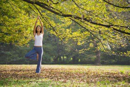 秋日健康必备好物,秋季健康养生好物