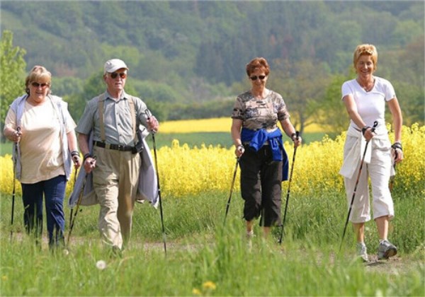 健康养老旅游,老年人幸福的旅游晚年生活