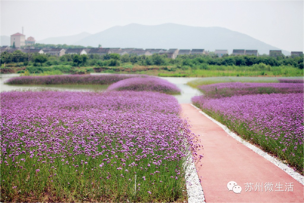 实力预测！2016年苏州即将大爆发的六大板块，没买房的赶紧看过来！