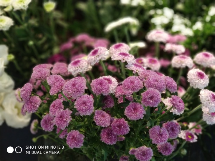 高颜值的拍照旗舰小米Note3拍照以及性能到底如何?