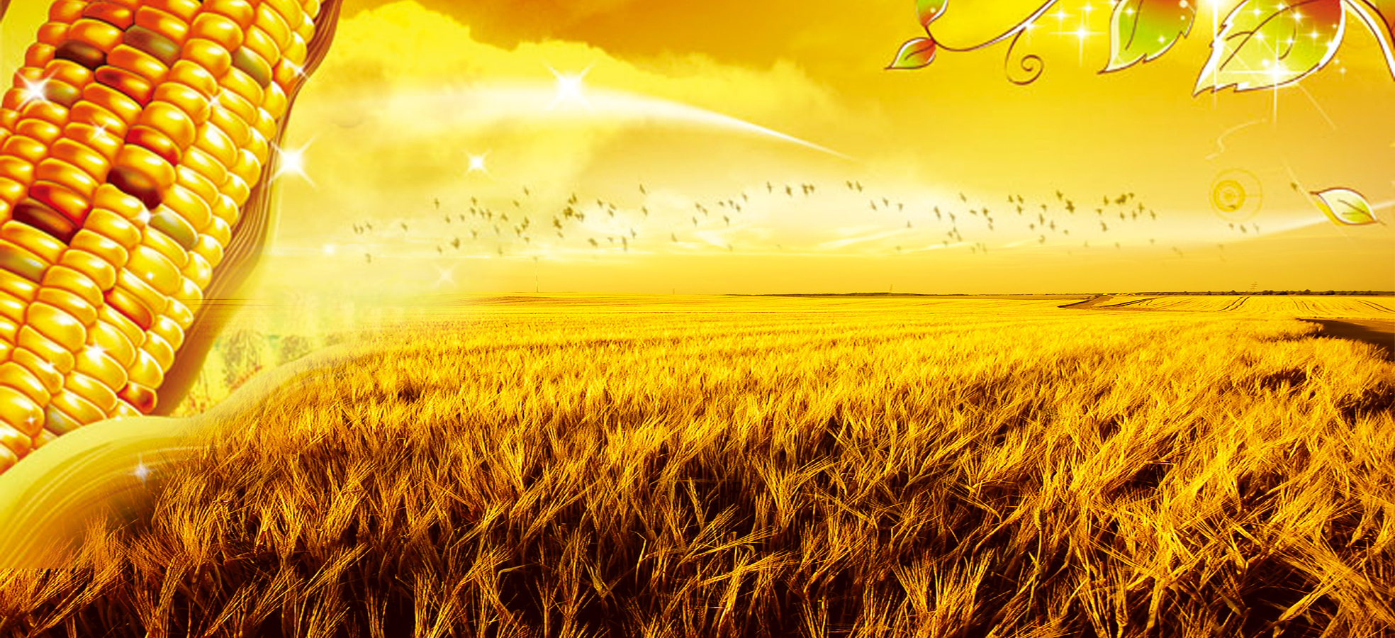 秋分时间是怎么计算的,秋分刚过你知道哪些知识