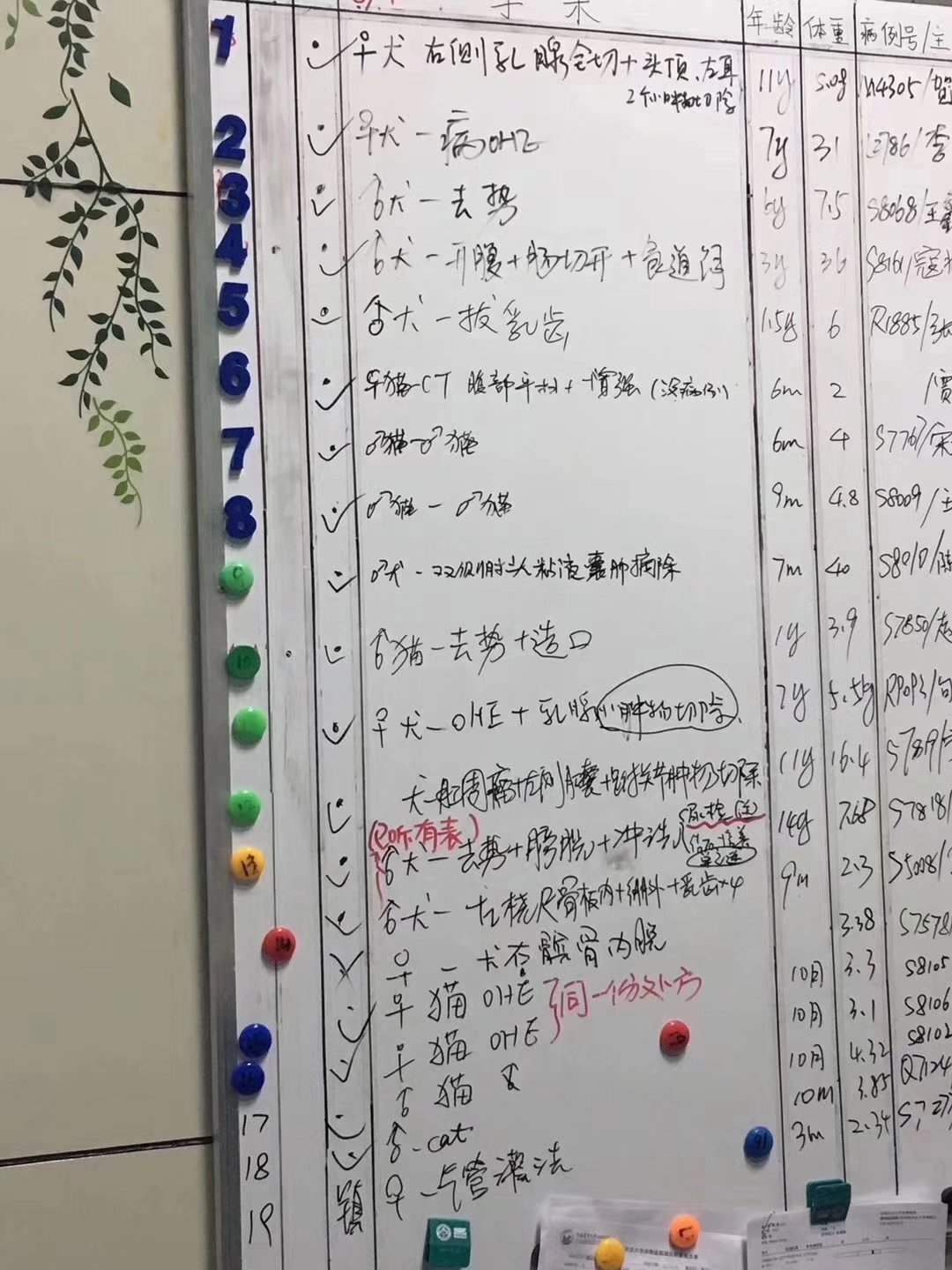 有人说我傻吗应该怎么回复,有人说我傻咋办