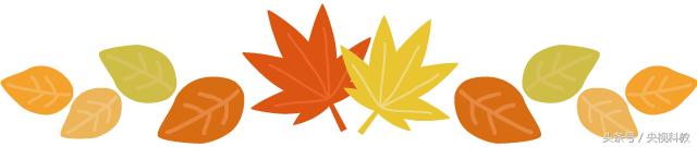 科学防蚊,实测防蚊最有效的方法